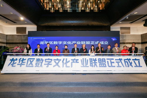 文化產(chǎn)業(yè)之飛翼 展數(shù)字龍華之宏圖 龍華區(qū)數(shù)字文化產(chǎn)業(yè)招商大會盛大啟幕